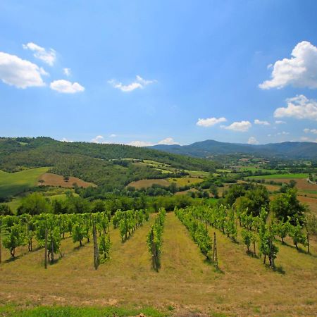 Holiday Home Montebello By Interhome Monterchi 外观 照片