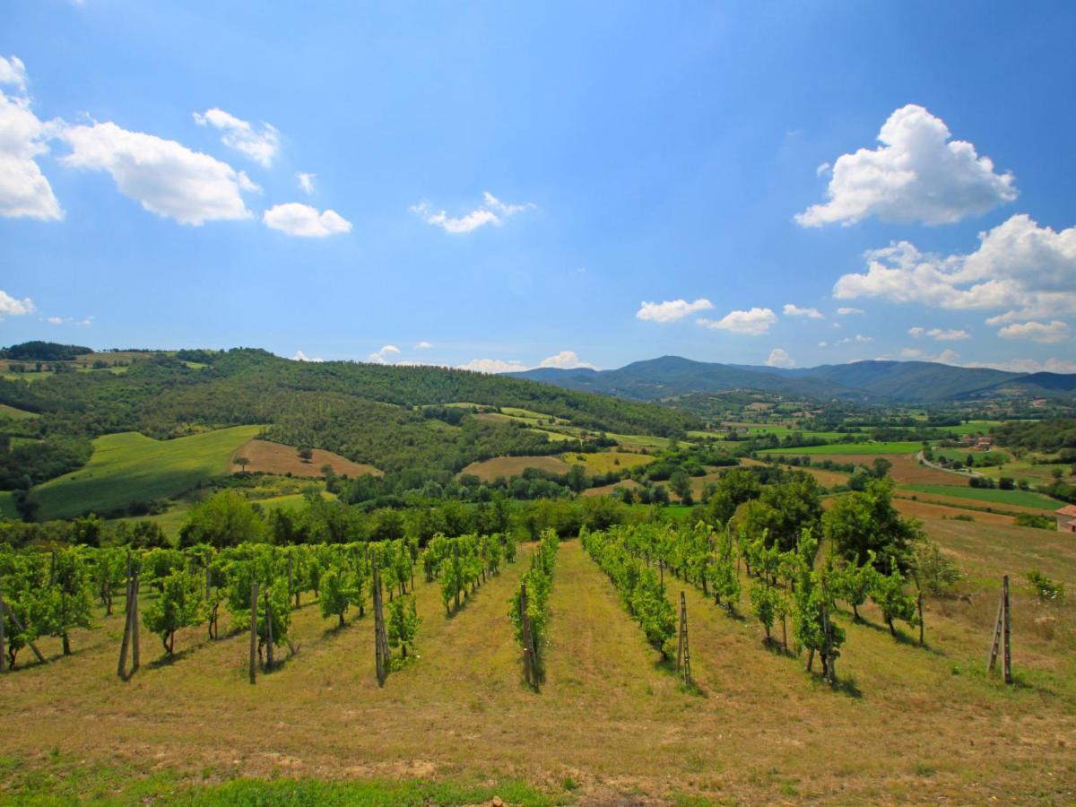 Holiday Home Montebello By Interhome Monterchi 外观 照片